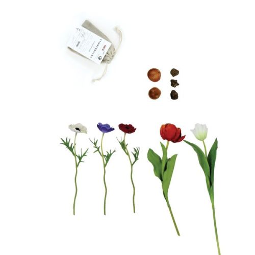 Leinenbeutel mit Blumenzwiebeln - Bild 4